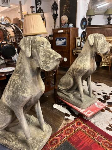 Pair of great danes